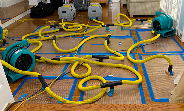 Professional Water Extraction technician working in Brentwood, MO